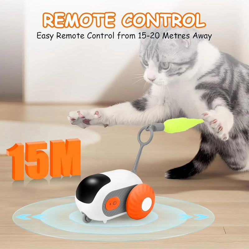 Brinquedo Interativo para Gatos, com comando à distância, 2 Modos - PetDoctors - Loja Online
