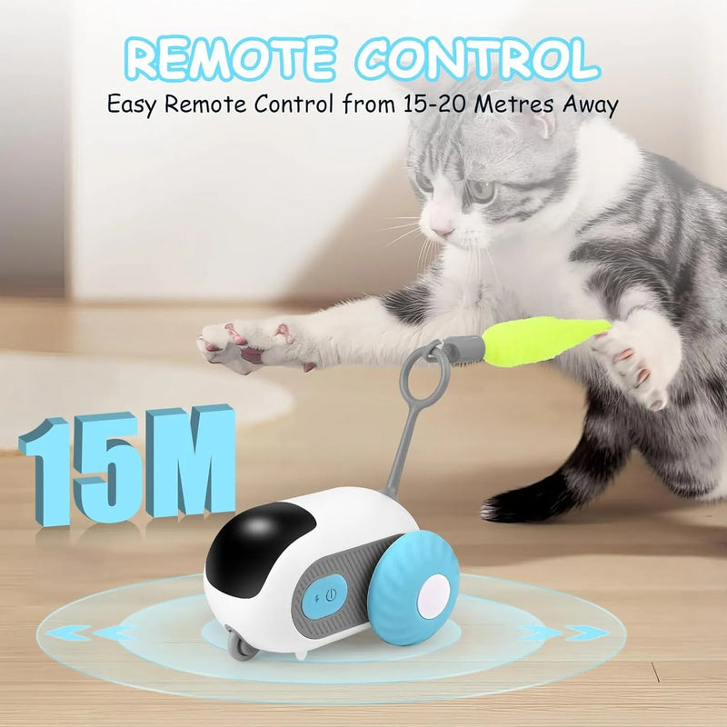 Brinquedo Interativo para Gatos, com comando à distância, 2 Modos - PetDoctors - Loja Online