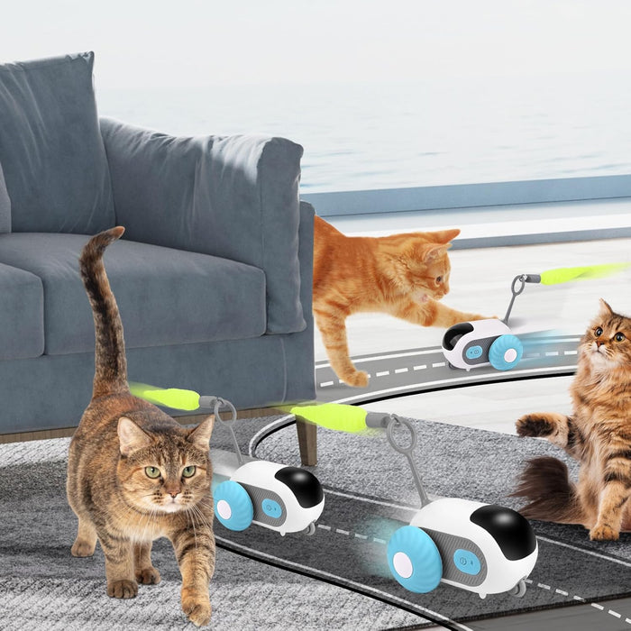 Brinquedo Interativo para Gatos, com comando à distância, 2 Modos - PetDoctors - Loja Online