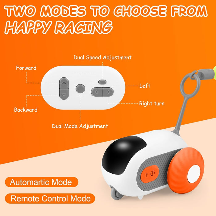 Brinquedo Interativo para Gatos, com comando à distância, 2 Modos - PetDoctors - Loja Online