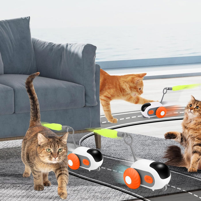 Brinquedo Interativo para Gatos, com comando à distância, 2 Modos - PetDoctors - Loja Online