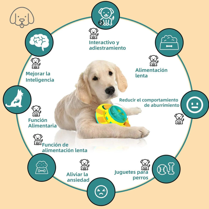 Brinquedo Interativo quebra - cabeças para cão com 2 níveis de dificuldade - PetDoctors - Loja Online