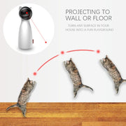 Brinquedo Laser Interativo para Gatos - PetDoctors - Loja Online