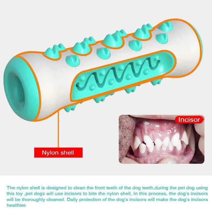 Brinquedo Limpador de Dentes em Borracha Extra - Soft e Resistente - PetDoctors - Loja Online