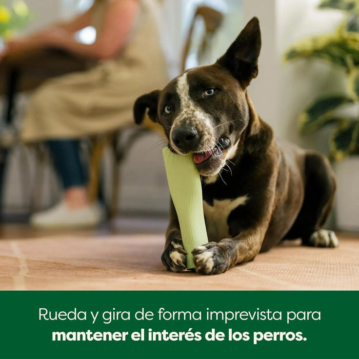 Brinquedo para cães, brinquedo de enriquecimento para cães adultos e cachorros, adequado para máquina de lavar louça e congelador, borracha natural - PetDoctors - Loja Online