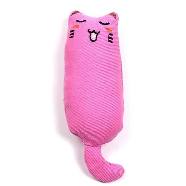 Brinquedo para Gatos (com Catnip no interior) - PetDoctors - Loja Online