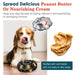 Brinquedo "Pneu" Resistente, Dispensador de Biscoitos, Limpador de dentes para Cães Grandes e Médios - PetDoctors - Loja Online