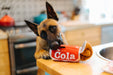Brinquedo Snack Attack Good Boy Cola da P.L.A.Y. (Tamanho M) - PetDoctors - Loja Online