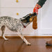 Brinquedo Snack Attack Good Boy Cola da P.L.A.Y. (Tamanho M) - PetDoctors - Loja Online