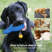 Brinquedos Indestrutíveis para Cães – brinquedos mastigáveis para cães grandes, médios e pequenos - PetDoctors - Loja Online