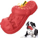 Brinquedos Indestrutíveis para Cães – brinquedos mastigáveis para cães grandes, médios e pequenos - PetDoctors - Loja Online