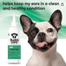 Buddycare Limpador de orelhas para cães | Solução calmante de limpeza de ouvidos para cães | ingredientes de origem natural com aloé vera 200 ml - PetDoctors - Loja Online