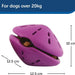 Busy Buddy Twist 'n Treat - Brinquedo dispensador de Biscoitos para cães - PetDoctors - Loja Online
