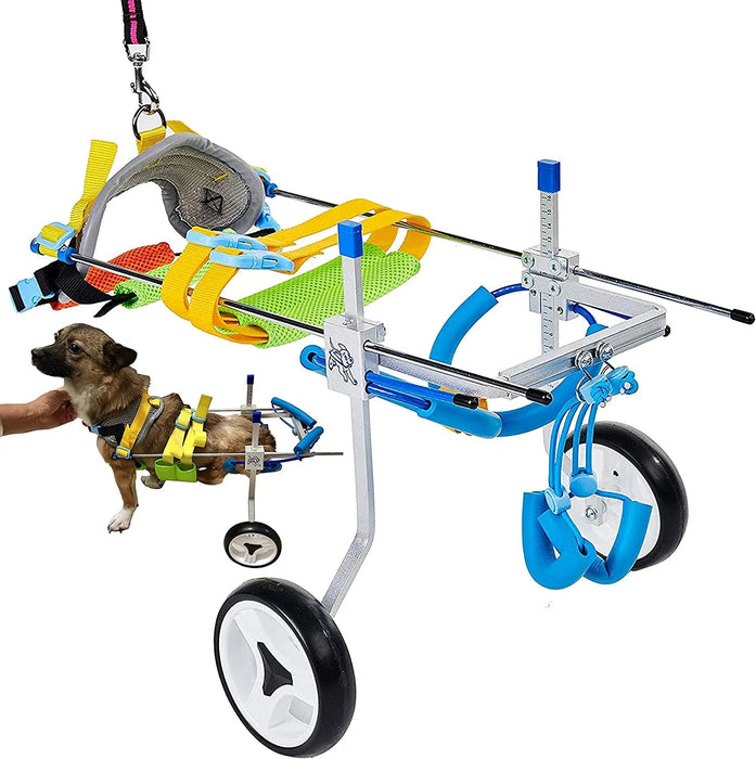 Cadeira de rodas / Andarilho Ajustável para Cães - PetDoctors - Loja Online