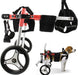 Cadeira de Rodas / Andarilho para Cães, Ajustável, para pernas traseiras incapacitadas - PetDoctors - Loja Online
