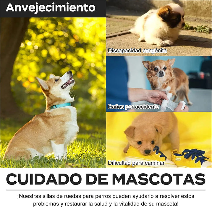 Cadeira de Rodas / Andarilho para Cães, Ajustável, para pernas traseiras incapacitadas - PetDoctors - Loja Online