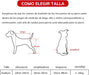 Cadeira de Rodas / Andarilho para Cães, Ajustável, para pernas traseiras incapacitadas - PetDoctors - Loja Online