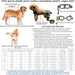 Cadeira de rodas para cães / cadeira de rodas ajustável, ajuda animais pequenos com pernas traseiras paralisadas a restaurar a mobilidade 2 cores (XS branco) - PetDoctors - Loja Online