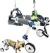 Cadeira de rodas para cães / cadeira de rodas ajustável, ajuda animais pequenos com pernas traseiras paralisadas a restaurar a mobilidade 2 cores (XS branco) - PetDoctors - Loja Online