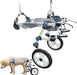 Cadeira de rodas para cães / cadeira de rodas ajustável, ajuda animais pequenos com pernas traseiras paralisadas a restaurar a mobilidade 2 cores (XS branco) - PetDoctors - Loja Online