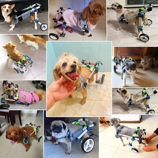 Cadeira de rodas para cães / cadeira de rodas ajustável, ajuda animais pequenos com pernas traseiras paralisadas a restaurar a mobilidade 2 cores (XS branco) - PetDoctors - Loja Online