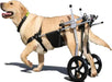 Cadeira de Rodas para Cães, para patas traseiras, Ajustável, Confortável e de Elevada Qualidade - PetDoctors - Loja Online