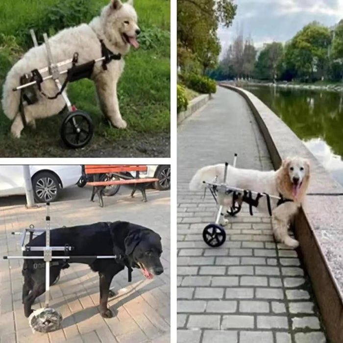 Cadeira de Rodas para Cães, para patas traseiras, Ajustável, Confortável e de Elevada Qualidade - PetDoctors - Loja Online