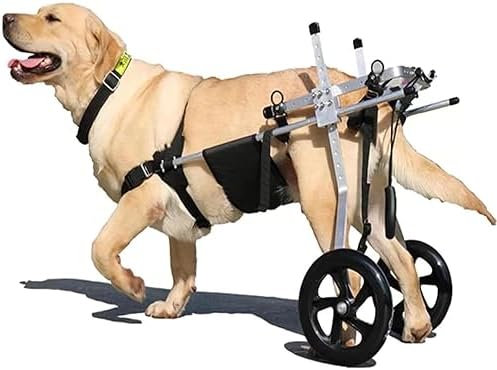 Cadeira de Rodas para Cães, para patas traseiras, Ajustável, Confortável e de Elevada Qualidade - PetDoctors - Loja Online