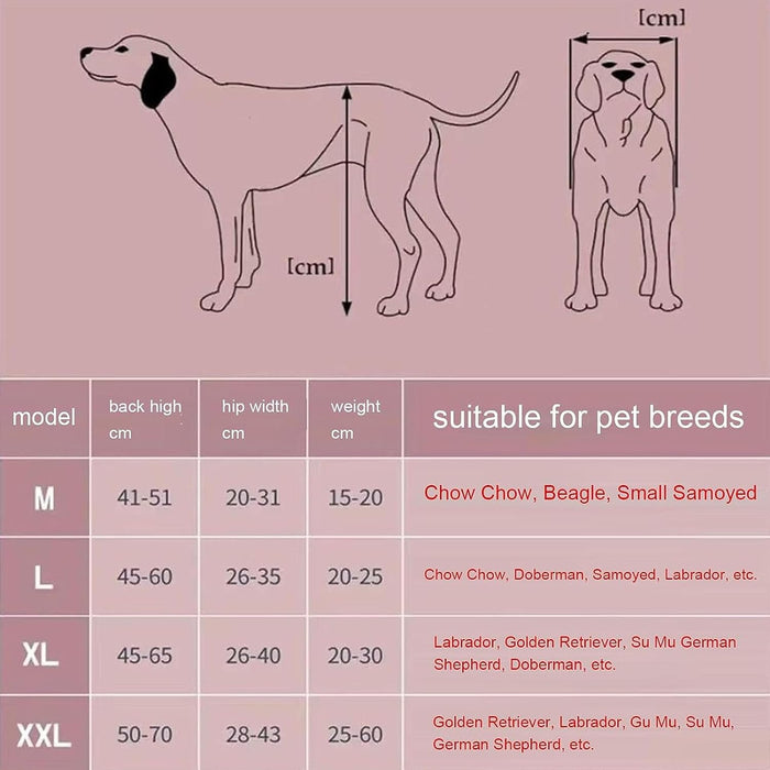 Cadeira de Rodas para Cães, para patas traseiras, Ajustável, Confortável e de Elevada Qualidade - PetDoctors - Loja Online