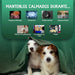 Calmante para cães - 120 cápsulas anti - stress, sem sabor - tranquilizante natural, para cães e cachorros, com vitamina B1 e magnésio relaxante e alívio para a ansiedade - PetDoctors - Loja Online