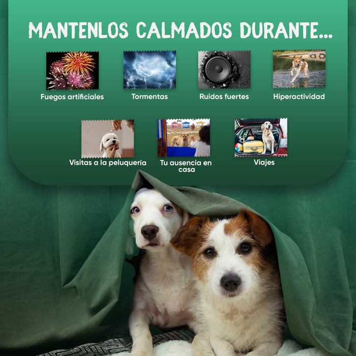 Calmante para cães - 120 cápsulas anti - stress, sem sabor - tranquilizante natural, para cães e cachorros, com vitamina B1 e magnésio relaxante e alívio para a ansiedade - PetDoctors - Loja Online