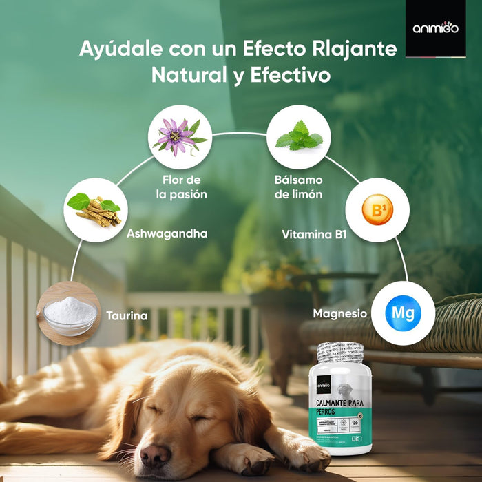 Calmante para cães - 120 cápsulas anti - stress, sem sabor - tranquilizante natural, para cães e cachorros, com vitamina B1 e magnésio relaxante e alívio para a ansiedade - PetDoctors - Loja Online