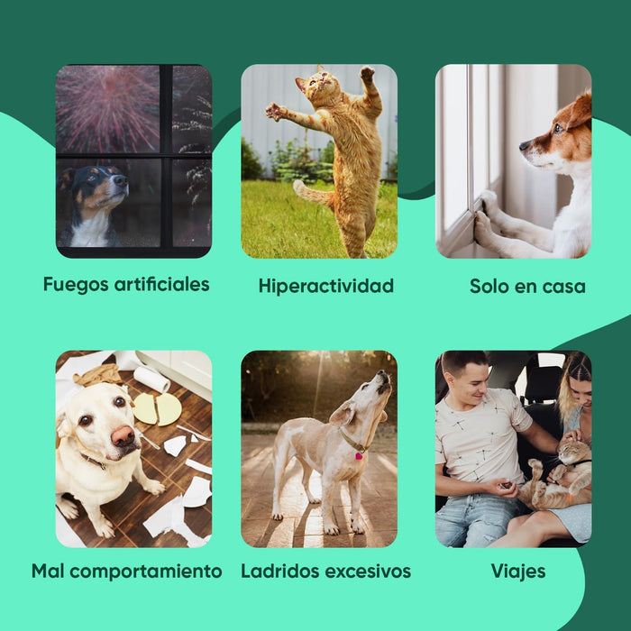 Calmante para cães e gatos em gotas, 100 ml com vitaminas, zinco e L - triptófano - Tranquilizante natural para animais de estimação - PetDoctors - Loja Online