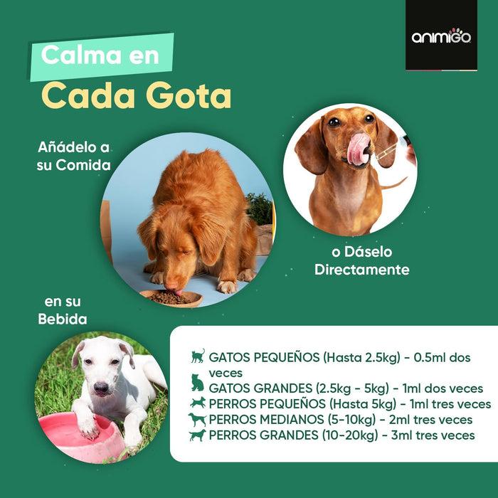 Calmante para cães e gatos em gotas, 100 ml com vitaminas, zinco e L - triptófano - Tranquilizante natural para animais de estimação - PetDoctors - Loja Online