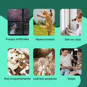 Calmante para cães e gatos em gotas, 100 ml com vitaminas, zinco e L - triptófano - Tranquilizante natural para animais de estimação - PetDoctors - Loja Online