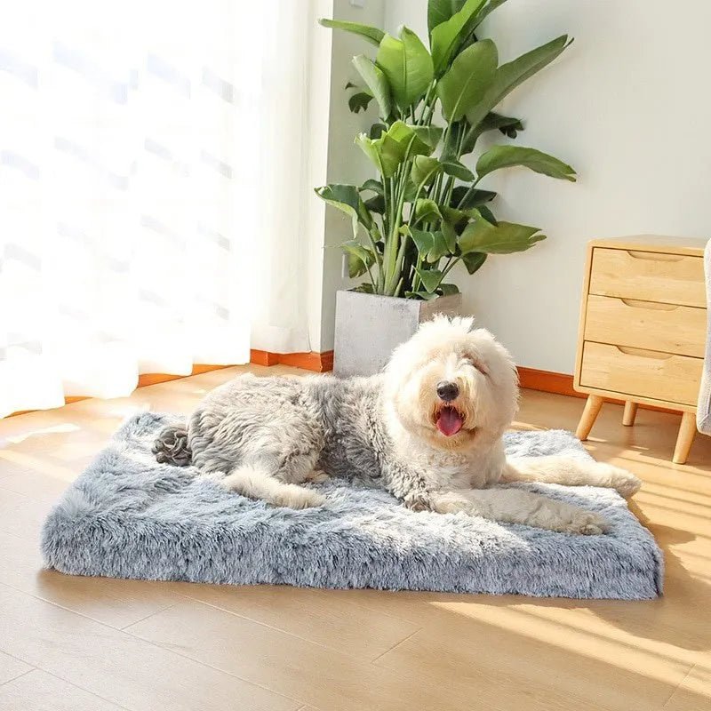 Cama Almofadada para Cães de todos os tamanhos, Super - Macia, Espuma Ortopédica - PetDoctors - Loja Online