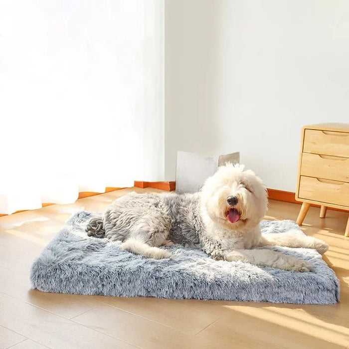 Cama Almofadada para Cães de todos os tamanhos, Super - Macia, Espuma Ortopédica - PetDoctors - Loja Online