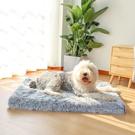 Cama Almofadada para Cães de todos os tamanhos, Super - Macia, Espuma Ortopédica - PetDoctors - Loja Online