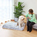 Cama Almofadada para Cães de todos os tamanhos, Super - Macia, Espuma Ortopédica - PetDoctors - Loja Online