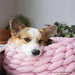 Cama / Cesto para Gatos ou Cães de Raças Pequenas - PetDoctors - Loja Online