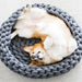 Cama / Cesto para Gatos ou Cães de Raças Pequenas - PetDoctors - Loja Online