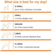 Cama elevada transpirável para Cães, extra - grande (153 x 94 x 23 cm), Cinzenta - PetDoctors - Loja Online