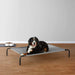 Cama elevada transpirável para Cães, extra - grande (153 x 94 x 23 cm), Cinzenta - PetDoctors - Loja Online