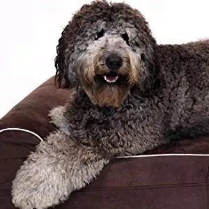 Cama ortopédica de espuma viscoelástica, inclui protetor interior impermeável e capa removível - PetDoctors - Loja Online