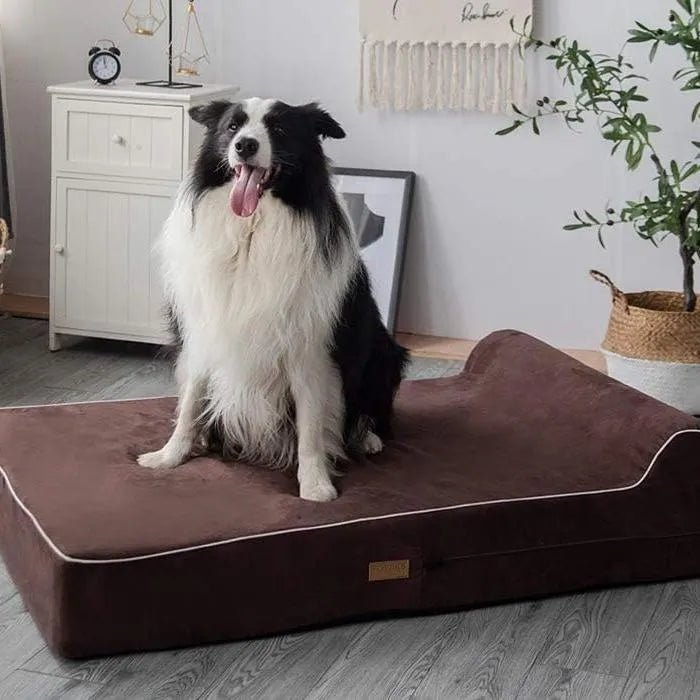 Cama ortopédica de espuma viscoelástica, inclui protetor interior impermeável e capa removível - PetDoctors - Loja Online