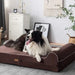 Cama ortopédica de espuma viscoelástica, inclui protetor interior impermeável e capa removível - PetDoctors - Loja Online