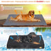 Cama ortopédica para Cães Grandes, Lavável, Cobertura impermeável, Cinzento - PetDoctors - Loja Online
