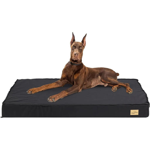 Cama ortopédica para Cães Grandes, Lavável, Cobertura impermeável, Cinzento - PetDoctors - Loja Online