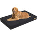 Cama ortopédica para Cães Grandes, Lavável, Cobertura impermeável, Cinzento - PetDoctors - Loja Online