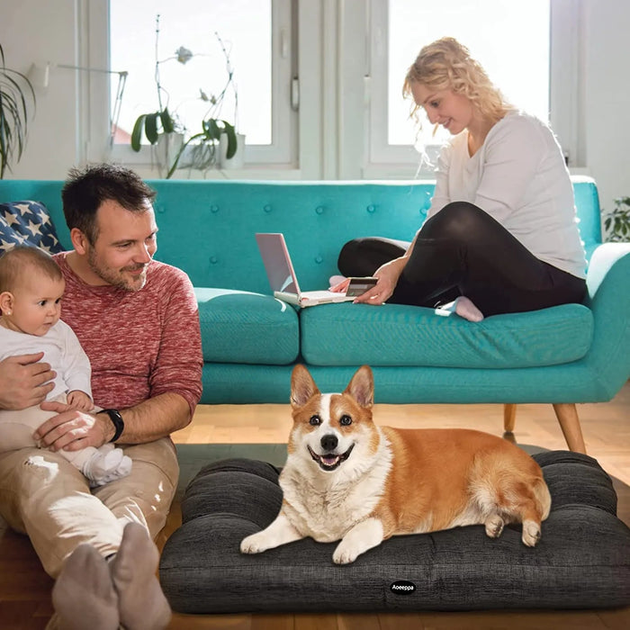 🐶 Cama para Cães Grandes e Médios - Lavável - PetDoctors - Loja Online